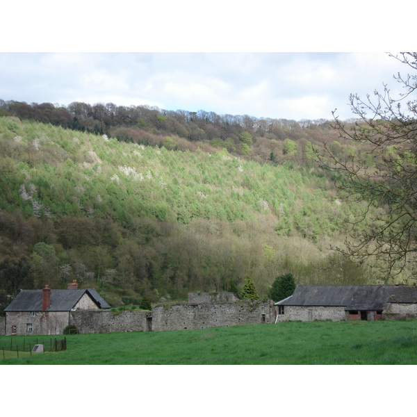 รูปถ่าย อังกฤษ(United Kingdom) ทินเทิร์น(Tintern) 2006-05 19