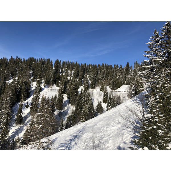รูปถ่าย ฝรั่งเศส(France) ปรา-ซูร์-อาร์ลี(Praz sur Arly) 2019-12 332