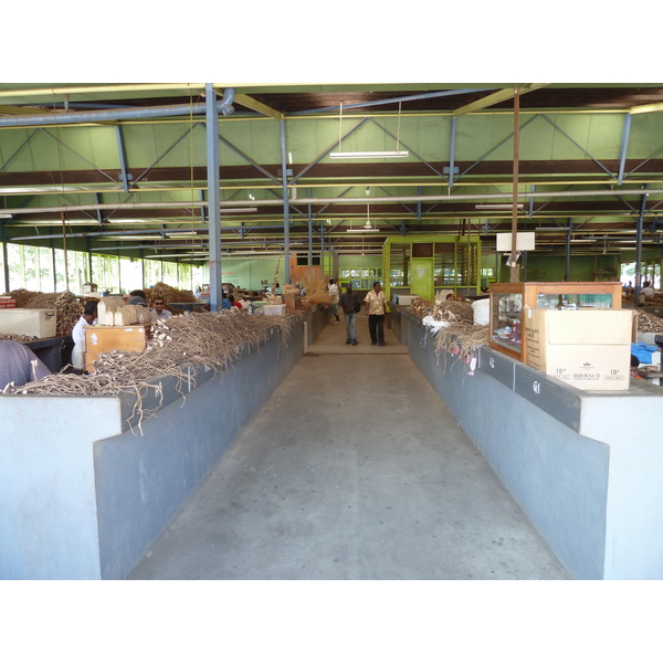 รูปถ่าย ฟิจิ(Fiji) นาดี(Nadi) 2010-05 70
