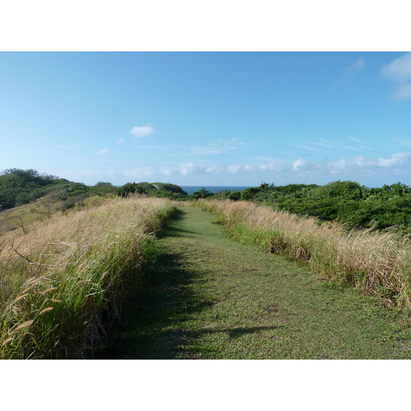 รูปถ่าย ฟิจิ(Fiji) อุทยานแห่งชาติเนินทรายซิงกาโตกา(Sigatoka sand dunes national park) 2010-05 32