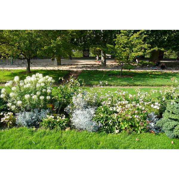 รูปถ่าย ฝรั่งเศส(France) ปารีส(Paris) สวนพันธ์ุพืช(Jardin des Plantes) 2007-08 213