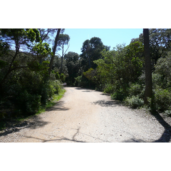 รูปถ่าย ฝรั่งเศส(France) เกาะปอร์เกอรอล(Porquerolles Island) แหลมเลอแก็ง(Pointe du Lequin) 2008-05 65