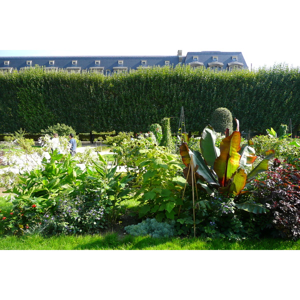 รูปถ่าย ฝรั่งเศส(France) ปารีส(Paris) สวนพันธ์ุพืช(Jardin des Plantes) 2007-08 194