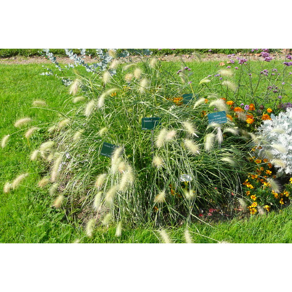 รูปถ่าย ฝรั่งเศส(France) ปารีส(Paris) สวนพันธ์ุพืช(Jardin des Plantes) 2007-08 170