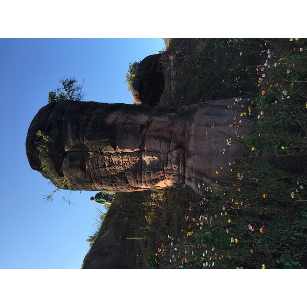 รูปถ่าย ไทย(Thailand) อุทยานแห่งชาติภูหินร่องกล้า(Phu Hin Rong Kla National Park) 2014-12 6