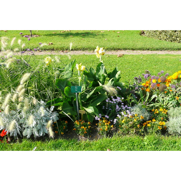 รูปถ่าย ฝรั่งเศส(France) ปารีส(Paris) สวนพันธ์ุพืช(Jardin des Plantes) 2007-08 39