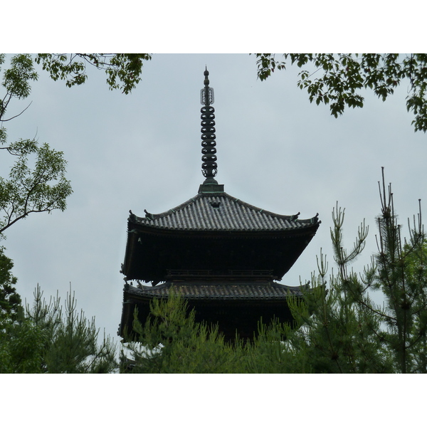 รูปถ่าย ญี่ปุ่น(Japan) เกียวโต(Kyoto) วัดนินนะจิ(Ninna ji Temple) 2010-06 11