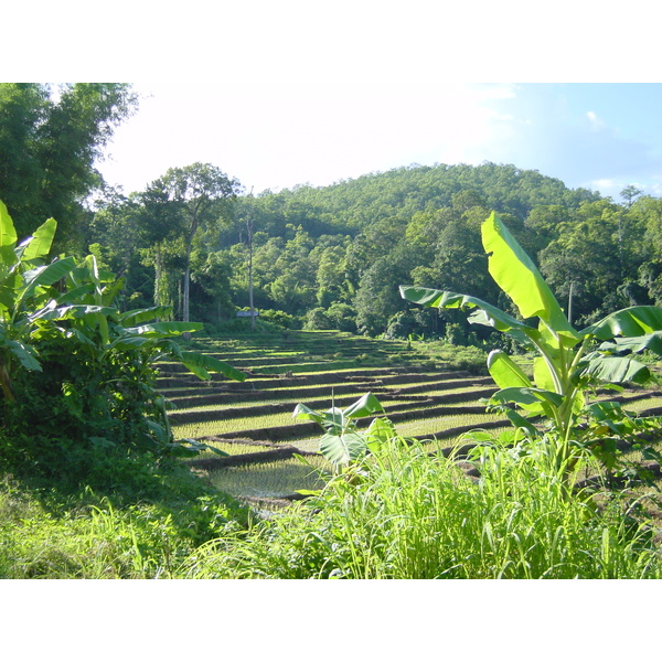 รูปถ่าย ไทย(Thailand) แม่ฮ่องสอน(Mae Hong Son) 2003-07 35