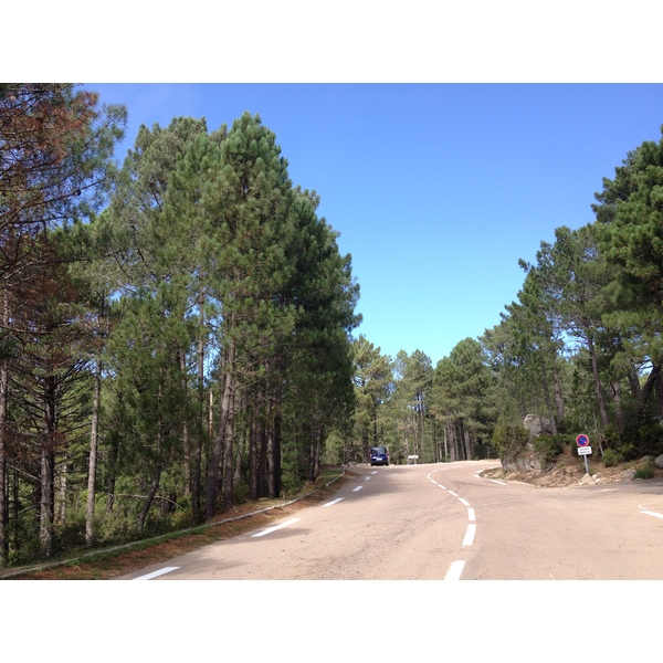 รูปถ่าย ฝรั่งเศส(France) คอร์สิคา(Corsica) ป่าลอสเปดาเล(L'ospedale Forest) 2012-09 22