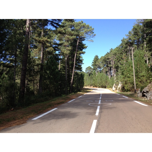 รูปถ่าย ฝรั่งเศส(France) คอร์สิคา(Corsica) ป่าลอสเปดาเล(L'ospedale Forest) 2012-09 41