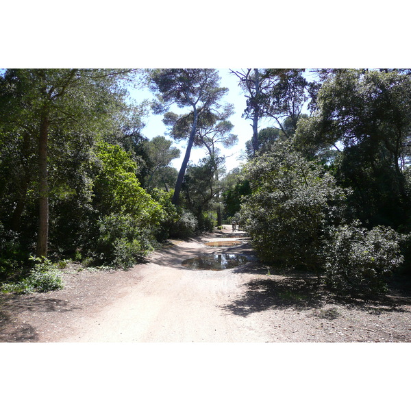 รูปถ่าย ฝรั่งเศส(France) เกาะปอร์เกอรอล(Porquerolles Island) แหลมเลอแก็ง(Pointe du Lequin) 2008-05 69