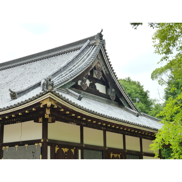 รูปถ่าย ญี่ปุ่น(Japan) เกียวโต(Kyoto) วัดนินนะจิ(Ninna ji Temple) 2010-06 4
