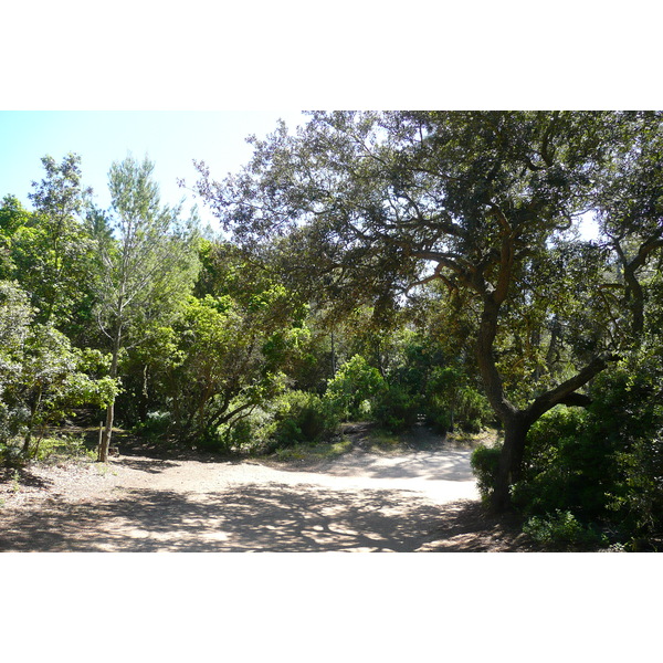 รูปถ่าย ฝรั่งเศส(France) เกาะปอร์เกอรอล(Porquerolles Island) ที่ราบกูร์ตาด(Plaine de la courtade) 2008-05 30