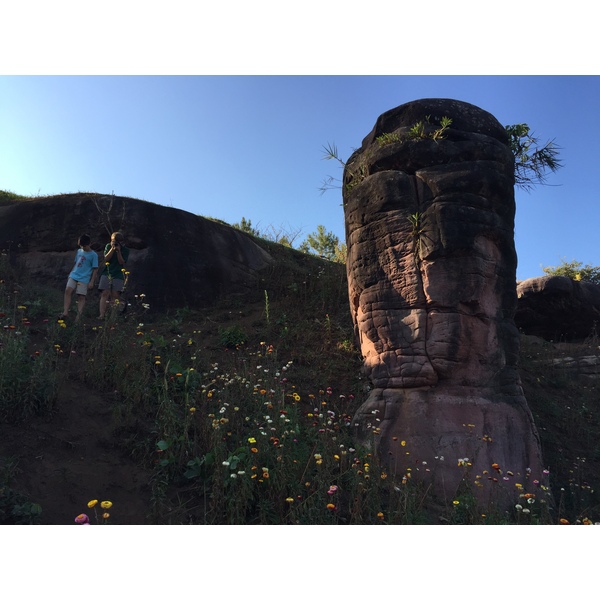 รูปถ่าย ไทย(Thailand) อุทยานแห่งชาติภูหินร่องกล้า(Phu Hin Rong Kla National Park) 2014-12 94
