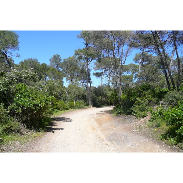 รูปถ่าย ฝรั่งเศส(France) เกาะปอร์เกอรอล(Porquerolles Island) ที่ราบกูร์ตาด(Plaine de la courtade) 2008-05 20