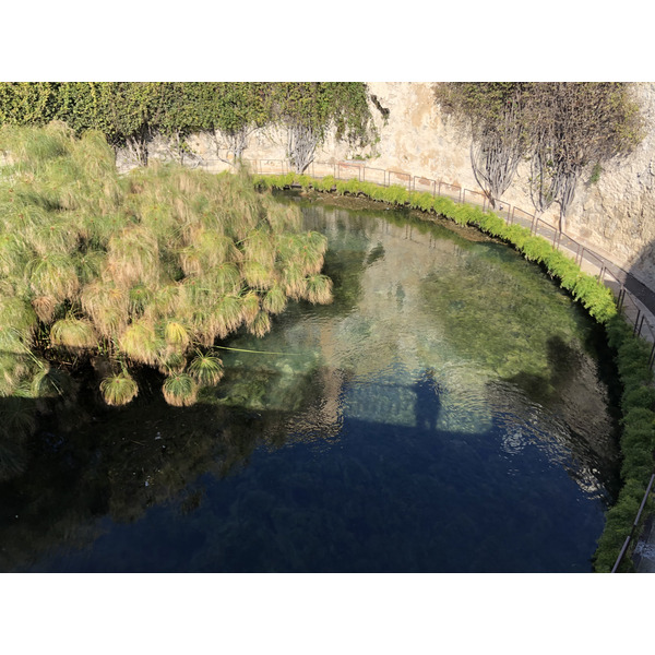 รูปถ่าย อิตาลี(Italy) ซิซิลี(Sicily) ออร์ตีเจีย(Ortigia) 2020-02 91