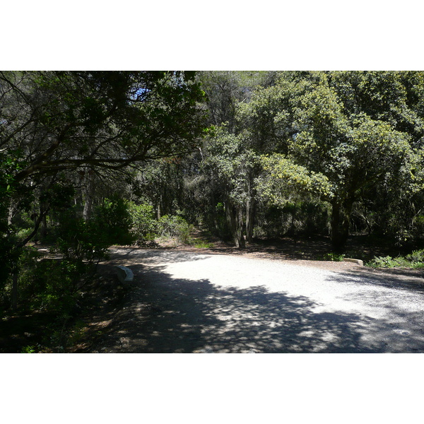 รูปถ่าย ฝรั่งเศส(France) เกาะปอร์เกอรอล(Porquerolles Island) ที่ราบกูร์ตาด(Plaine de la courtade) 2008-05 15