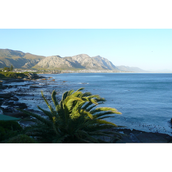 รูปถ่าย แอฟริกาใต้(South Africa) เฮอร์มานัส(Harmanus) 2008-09 197
