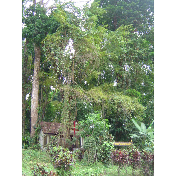 รูปถ่าย ไทย(Thailand) เขาหลัก(Khao Lak) 2005-12 21