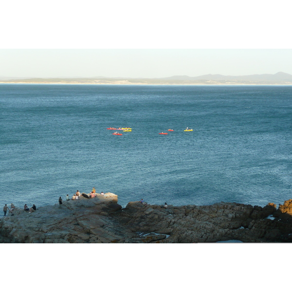 รูปถ่าย แอฟริกาใต้(South Africa) เฮอร์มานัส(Harmanus) 2008-09 179