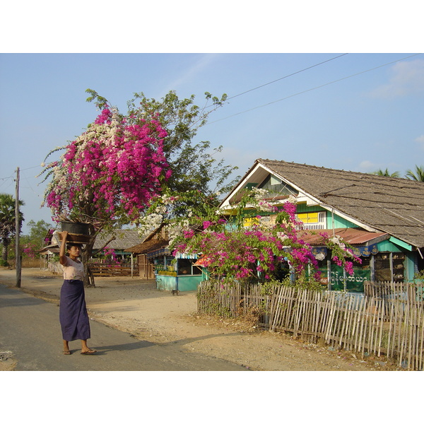 รูปถ่าย พม่า(Myanmar) หาดหม่องมะกัน(Maungmagan beach) 2005-01 42