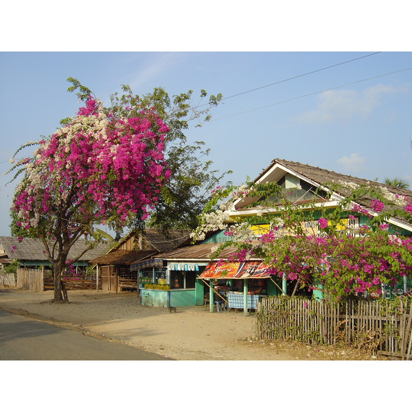 รูปถ่าย พม่า(Myanmar) หาดหม่องมะกัน(Maungmagan beach) 2005-01 43