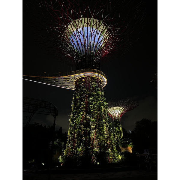 รูปถ่าย สิงคโปร์(Singapore) การ์เดนส์บายเดอะเบย์(Garden by the bay) 2023-01 39