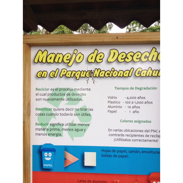 รูปถ่าย คอสตาริกา(Costa Rica) กาอุยตา(Cahuita) 2015-03 203