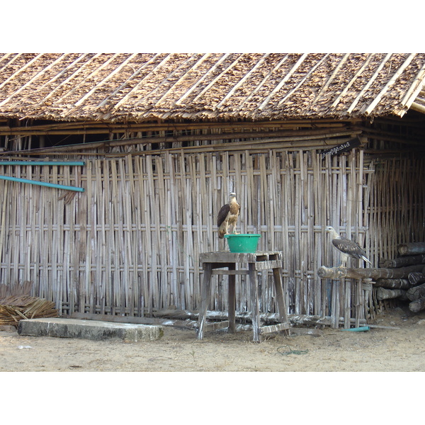 รูปถ่าย พม่า(Myanmar) หาดหม่องมะกัน(Maungmagan beach) 2005-01 21