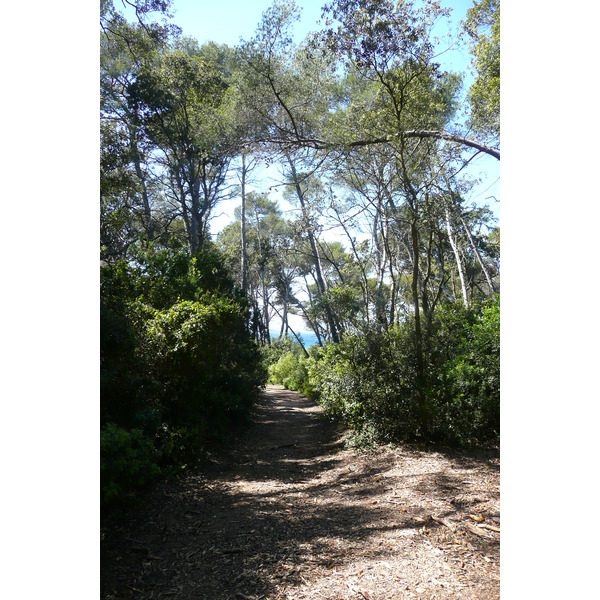รูปถ่าย ฝรั่งเศส(France) เกาะปอร์เกอรอล(Porquerolles Island) ที่ราบกูร์ตาด(Plaine de la courtade) 2008-05 17