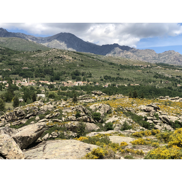 รูปถ่าย ฝรั่งเศส(France) คอร์สิคา(Corsica) ป่าไอโตเน(Aitone Forest) 2021-06 10