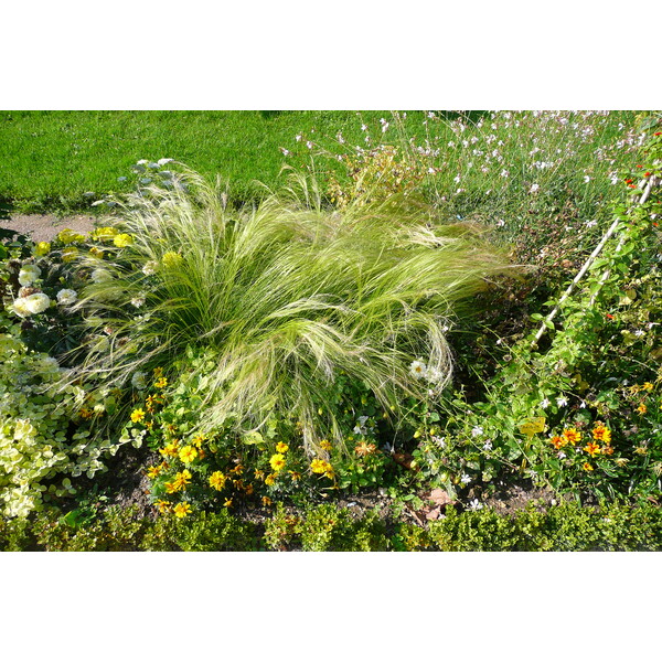 รูปถ่าย ฝรั่งเศส(France) ปารีส(Paris) สวนพันธ์ุพืช(Jardin des Plantes) 2007-08 18