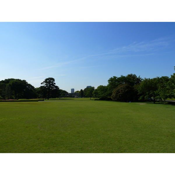 รูปถ่าย ญี่ปุ่น(Japan) โตเกียว(Tokyo) พระราชวังหลวง(Imperial Palace) 2010-06 62