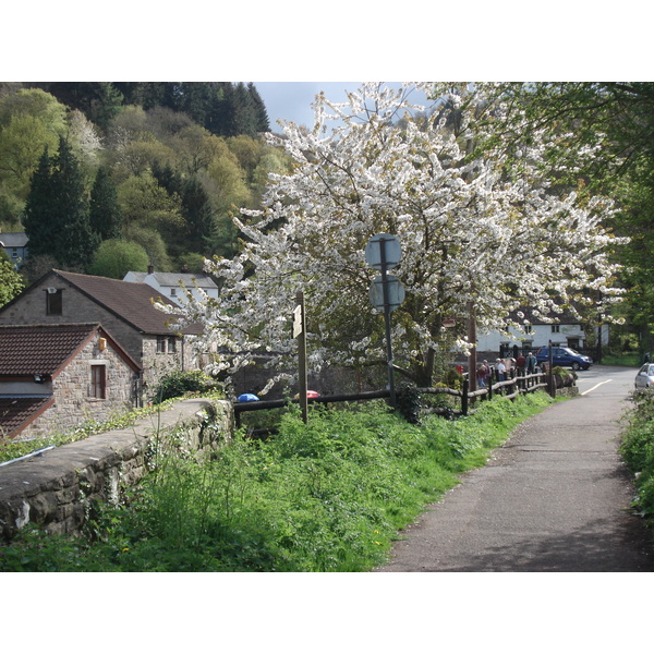 รูปถ่าย อังกฤษ(United Kingdom) ทินเทิร์น(Tintern) 2006-05 15