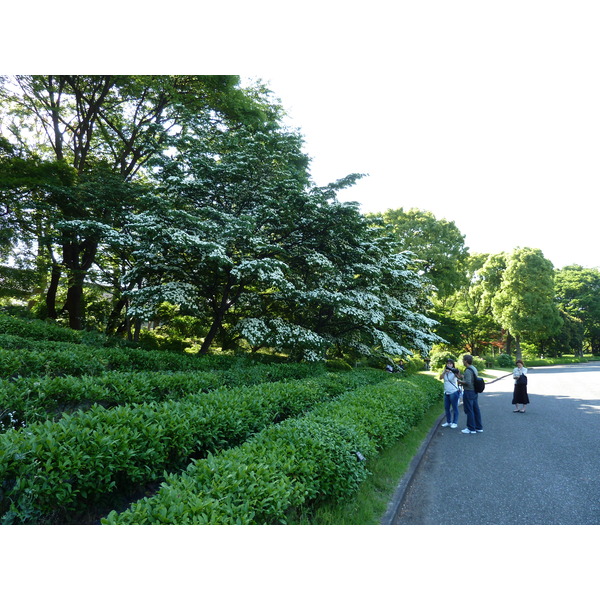 รูปถ่าย ญี่ปุ่น(Japan) โตเกียว(Tokyo) พระราชวังหลวง(Imperial Palace) 2010-06 102