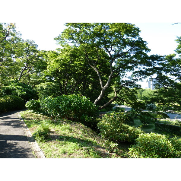รูปถ่าย ญี่ปุ่น(Japan) โตเกียว(Tokyo) พระราชวังหลวง(Imperial Palace) 2010-06 8