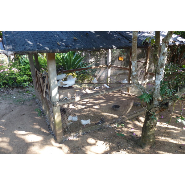 รูปถ่าย ไทย(Thailand) เชียงใหม่(Chiang Mai) ฟาร์มงูแม่สา(Mae Sa Snake Farm) 2010-12 31