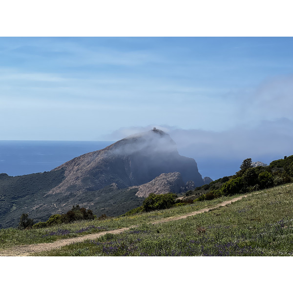 รูปถ่าย ฝรั่งเศส(France) คอร์สิคา(Corsica) แหลมกาโปรอสโซ(Capo Rosso) 2023-05 12