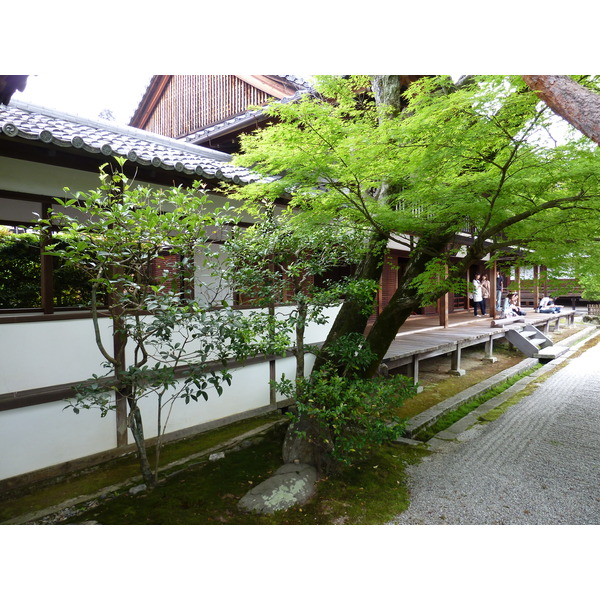 รูปถ่าย ญี่ปุ่น(Japan) เกียวโต(Kyoto) ตำหนักหลวงวัดนินนะจิ(Ninna ji imperial Residence) 2010-06 85