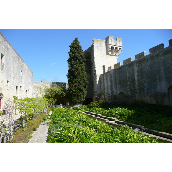 รูปถ่าย ฝรั่งเศส(France) ตาราสกง(Tarascon) ปราสาทตาราสกง(Tarascon Castle) 2008-04 170