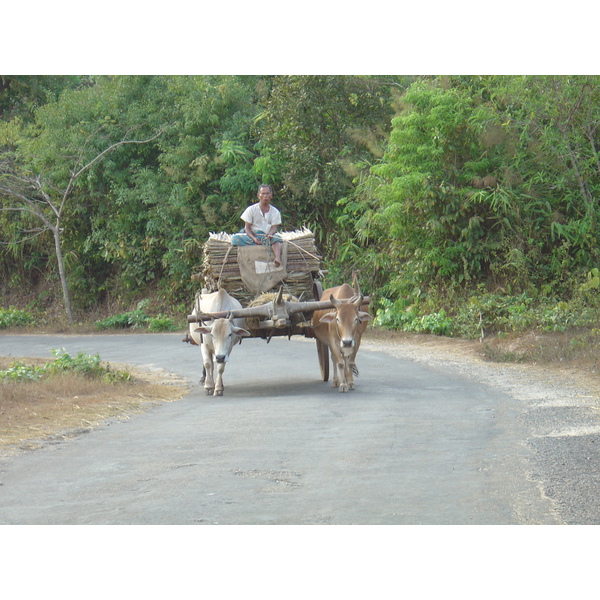 รูปถ่าย พม่า(Myanmar) ถนนจากทวายไปหาดหม่องมะกัน(Road from Dawei to Maungmagan beach) 2005-01 39