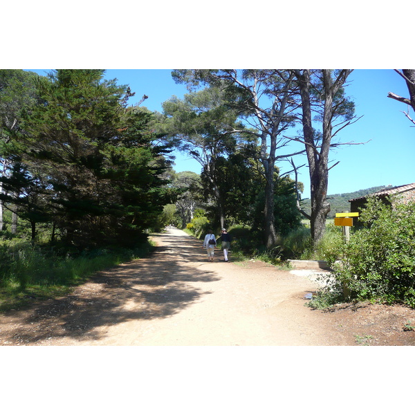 รูปถ่าย ฝรั่งเศส(France) เกาะปอร์เกอรอล(Porquerolles Island) ที่ราบกูร์ตาด(Plaine de la courtade) 2008-05 13