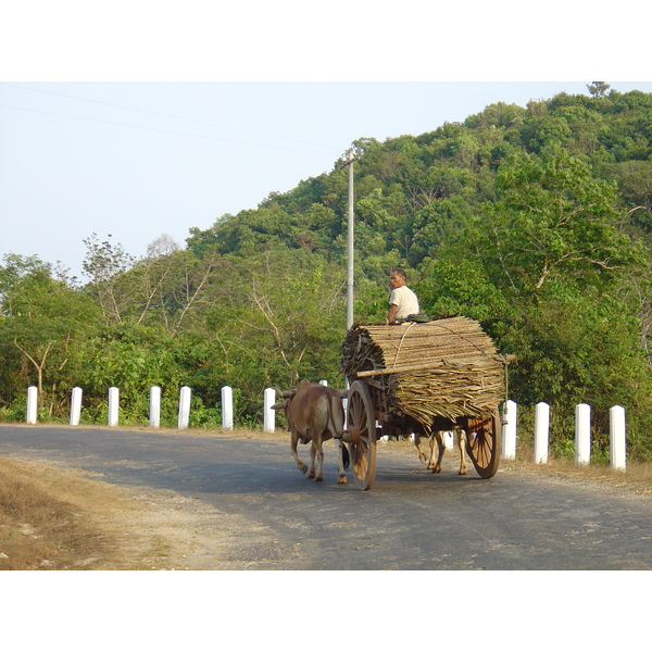 รูปถ่าย พม่า(Myanmar) ถนนจากทวายไปหาดหม่องมะกัน(Road from Dawei to Maungmagan beach) 2005-01 36