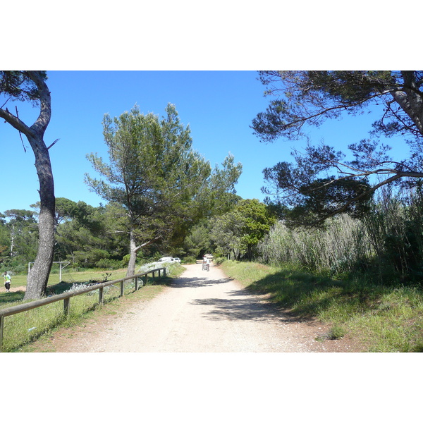 รูปถ่าย ฝรั่งเศส(France) เกาะปอร์เกอรอล(Porquerolles Island) ที่ราบกูร์ตาด(Plaine de la courtade) 2008-05 3
