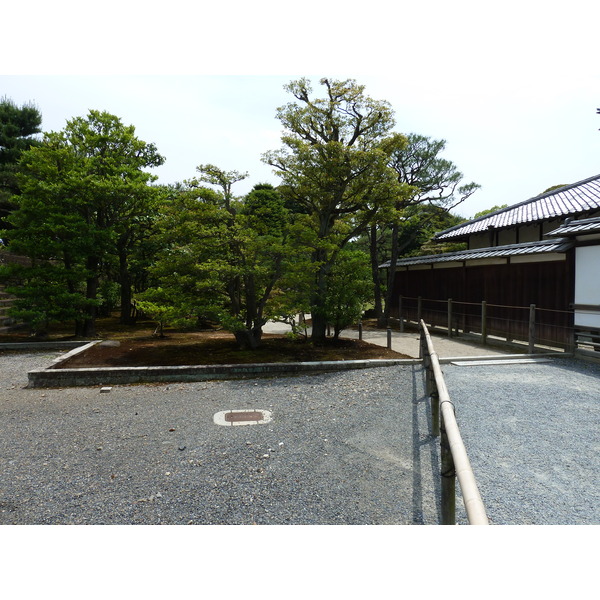 รูปถ่าย ญี่ปุ่น(Japan) เกียวโต(Kyoto) ปราสาทนิโจ(Nijo Castle) พระราชวังฮมมะรุ(Honmaru Palace) 2010-06 32