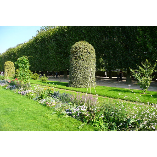 รูปถ่าย ฝรั่งเศส(France) ปารีส(Paris) สวนพันธ์ุพืช(Jardin des Plantes) 2007-08 48