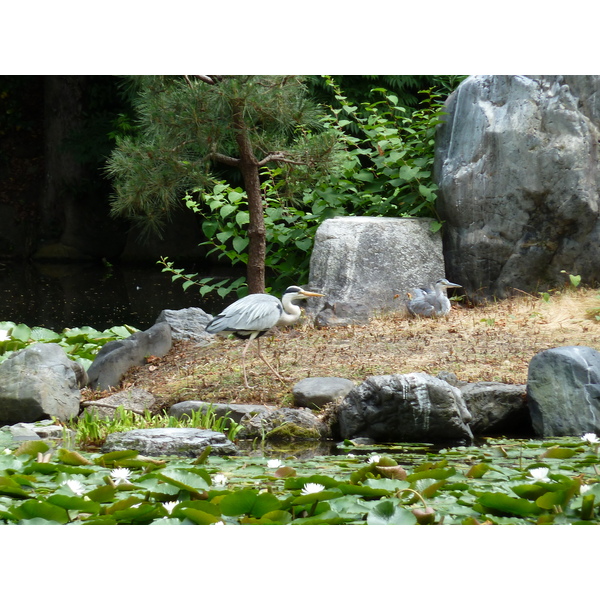 รูปถ่าย ญี่ปุ่น(Japan) เกียวโต(Kyoto) สวนโชเซเอ็ง(Shosei en Garden) 2010-06 5