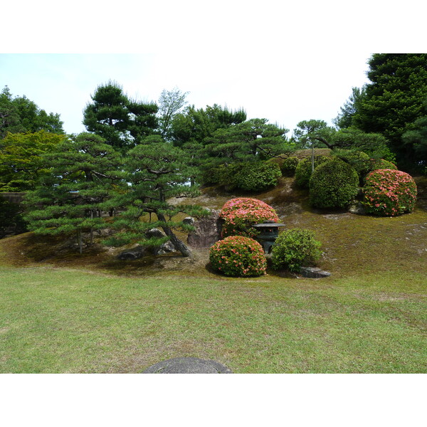 รูปถ่าย ญี่ปุ่น(Japan) เกียวโต(Kyoto) ปราสาทนิโจ(Nijo Castle) พระราชวังฮมมะรุ(Honmaru Palace) 2010-06 44