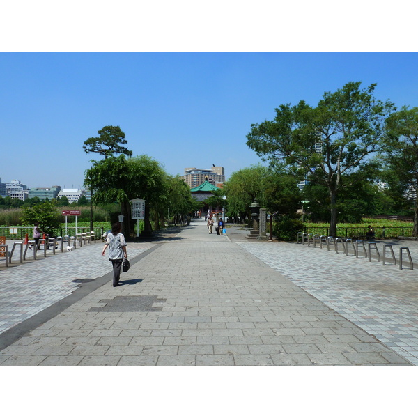 รูปถ่าย ญี่ปุ่น(Japan) โตเกียว(Tokyo) อุเอโนะ(Ueno) 2010-06 12