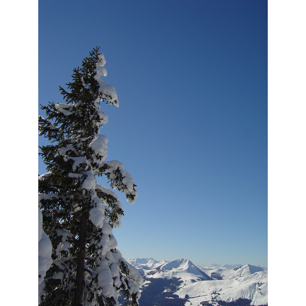 รูปถ่าย ออสเตรีย(Austria) คิทซ์บูเฮล(Kitzbuhel) สกี(Ski) 2005-03 111